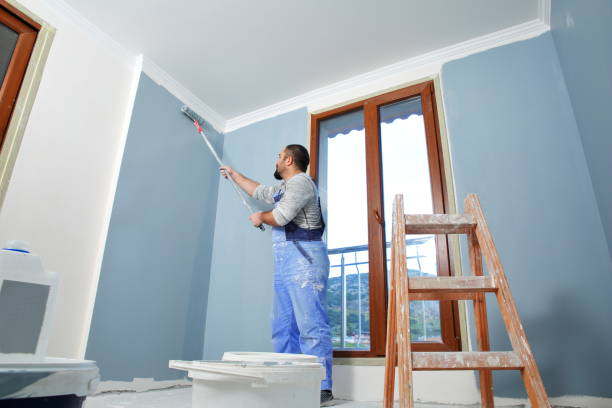 Best Mold Removal for HVAC Installations  in Mays Chapel, MD
