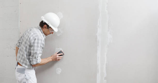 Professional Mold Removal in Mays Chapel, MD