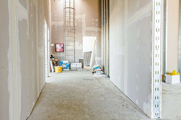 Best Comprehensive Air Testing for Mold Contaminants  in Mays Chapel, MD